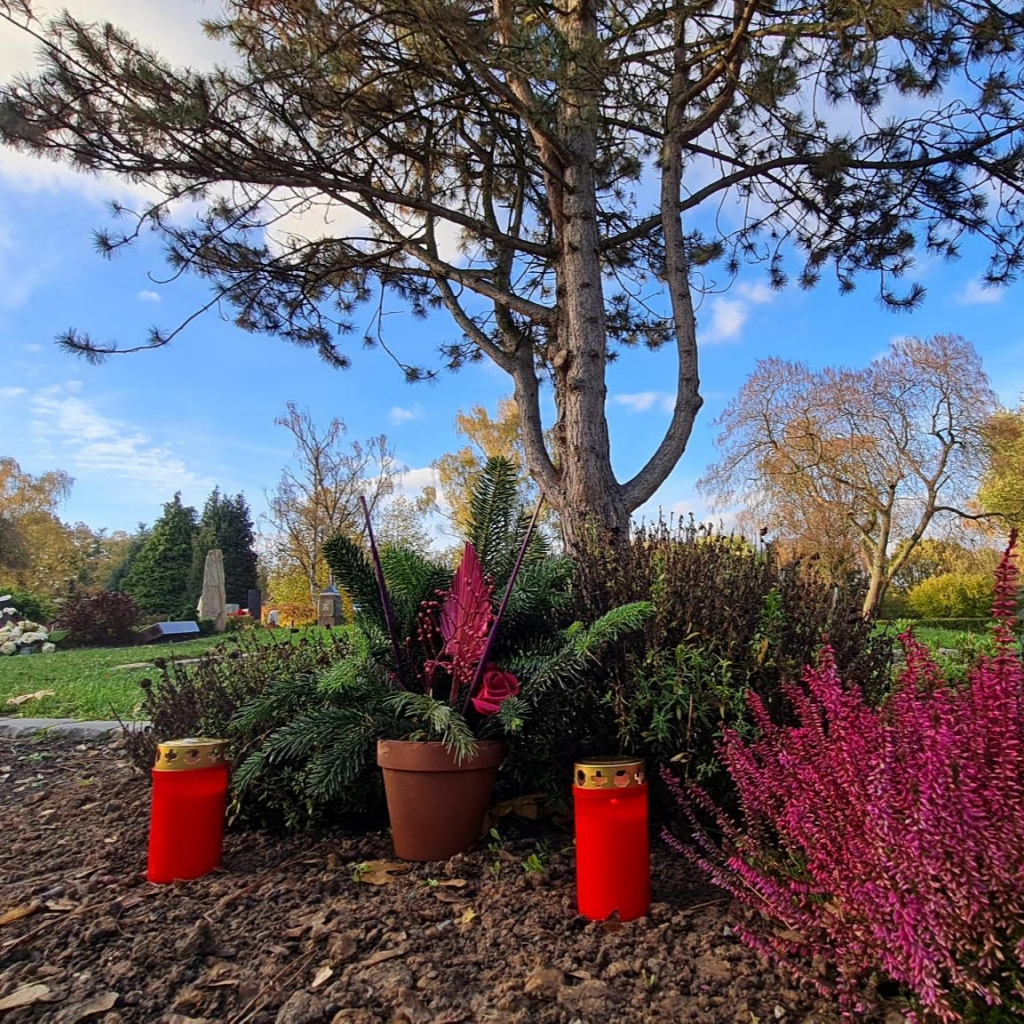 Das Grab meiner Eltern